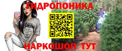 соль ск Пенза