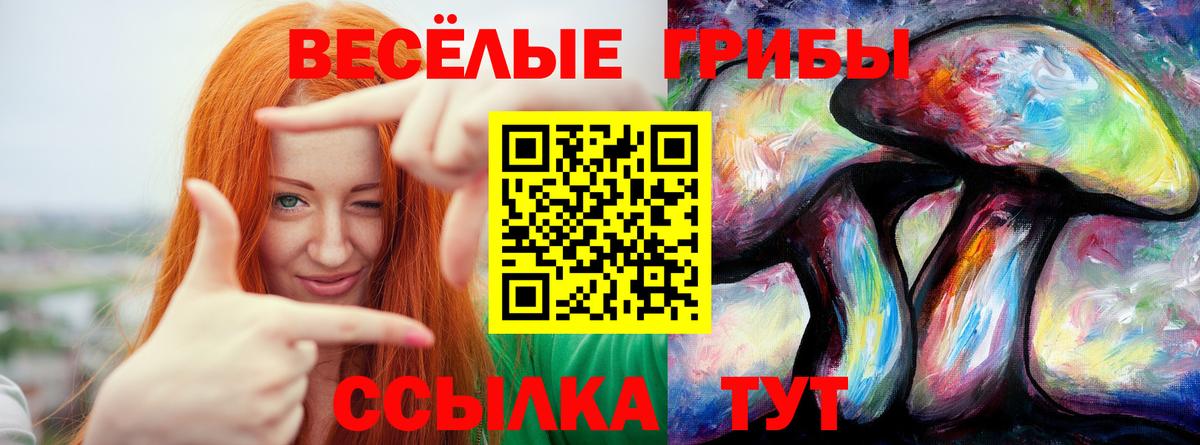 Галлюциногенные грибы мицелий  Галлюциногенные грибы Psilocybe  Вход с VPN  Семилуки 