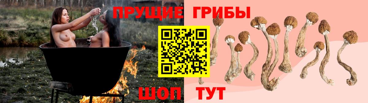 Галлюциногенные грибы мицелий Семилуки